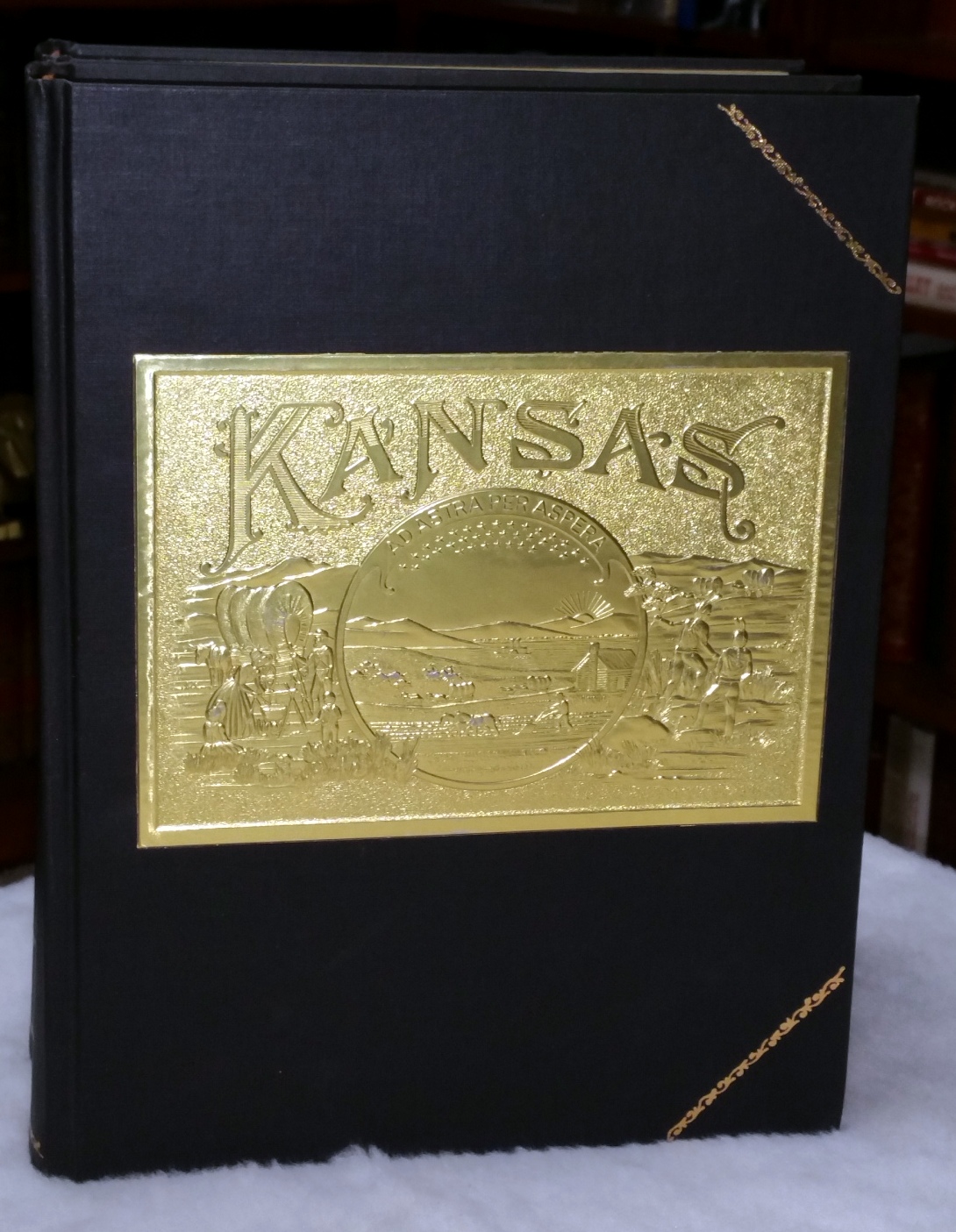 Cover of History Of The State Of Kansas